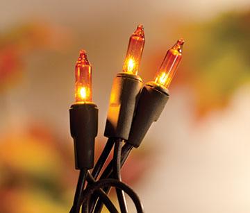 Amber Light Set 20 ct - The Fox Decor